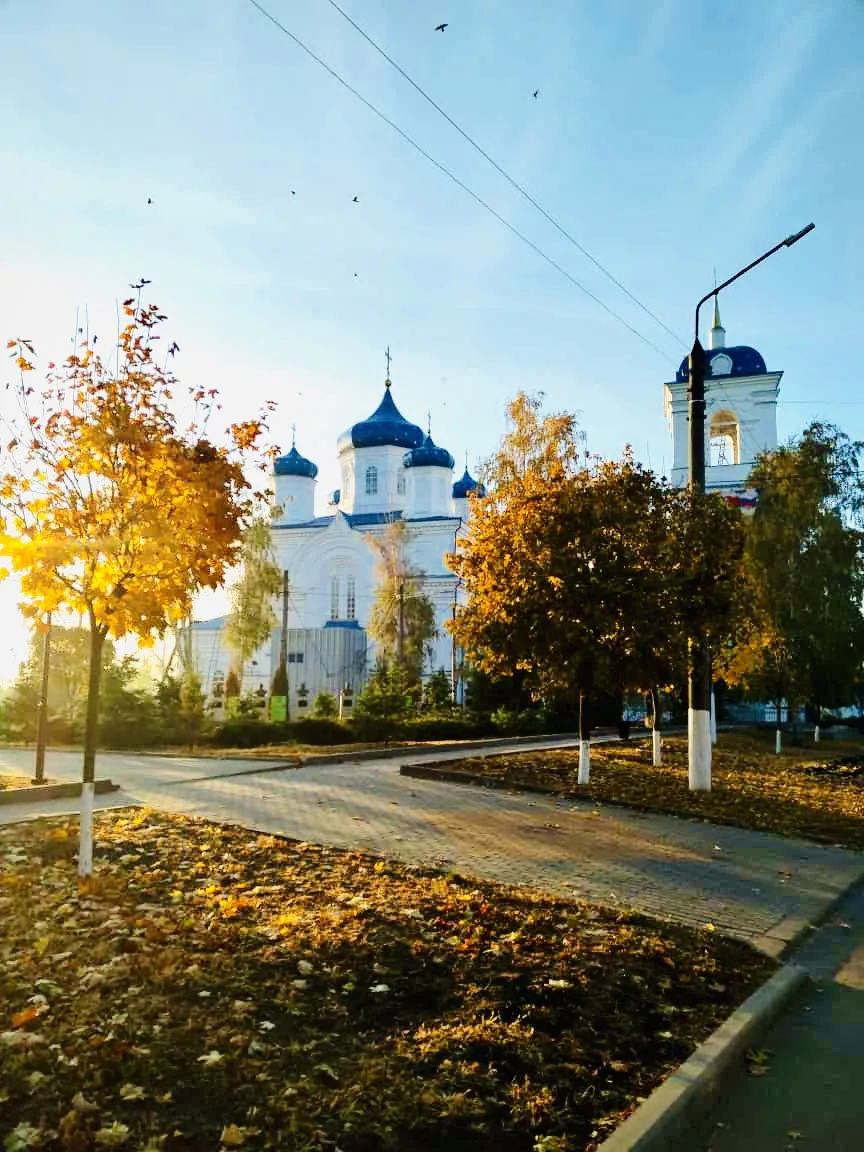 🥵 25-градусная жара нагрянет в Воронежскую область в октябре.