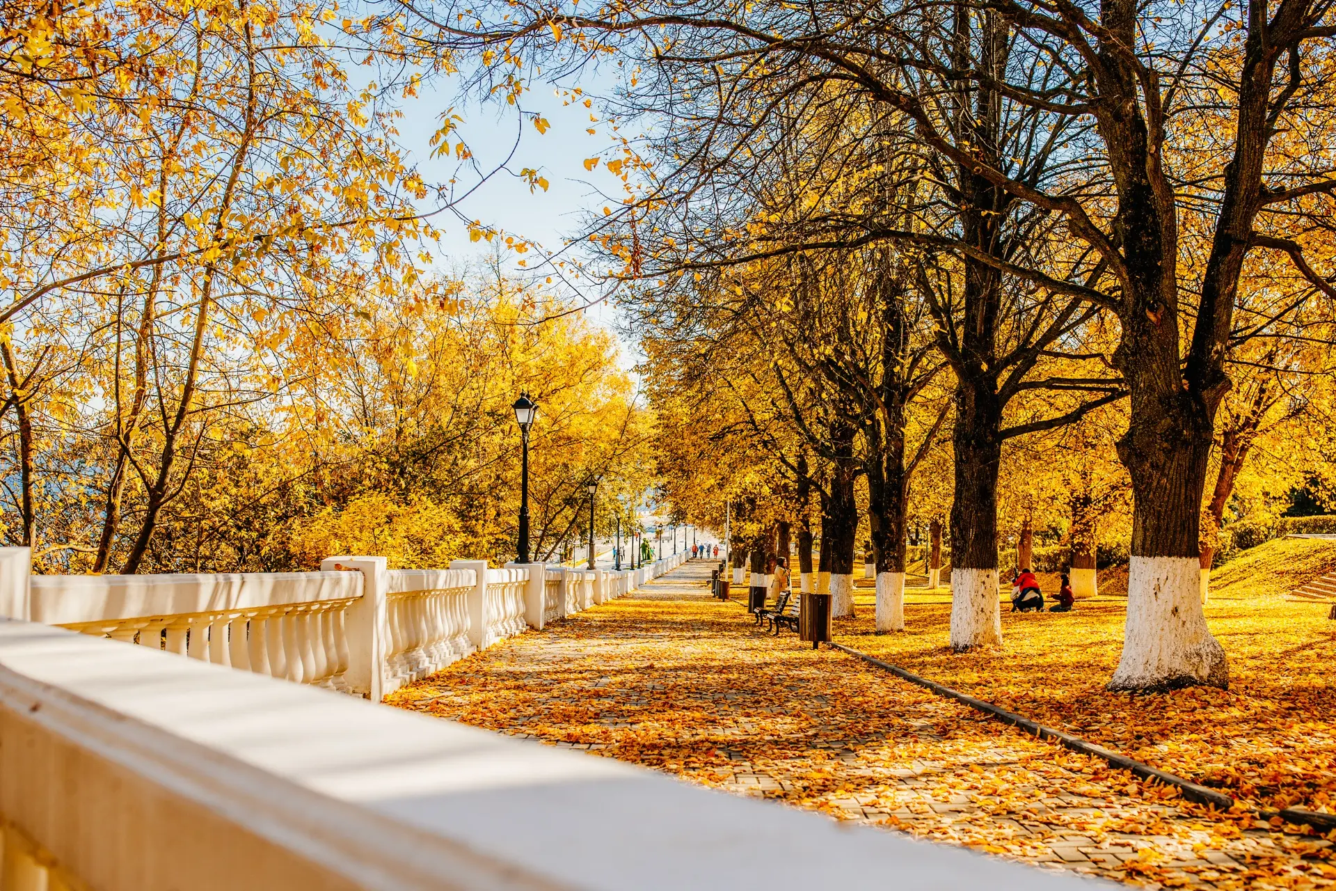 🍂☕️Доброе утро, друзья!