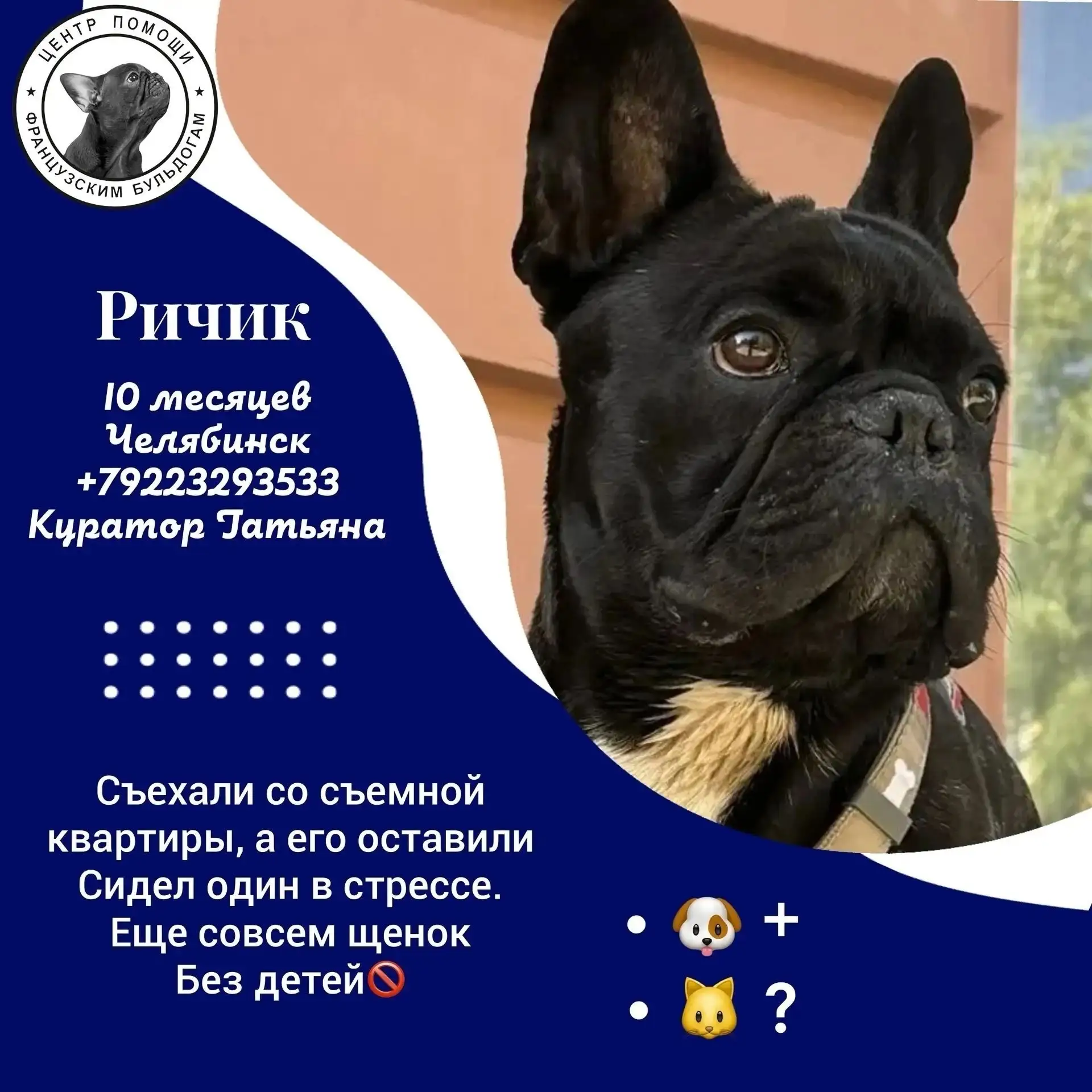 Ричик в поиске дома🏡🏡🏡