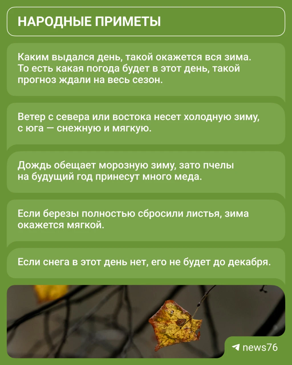 Какой будет зима, можно определить по приметам! А почему бы и нет 👀