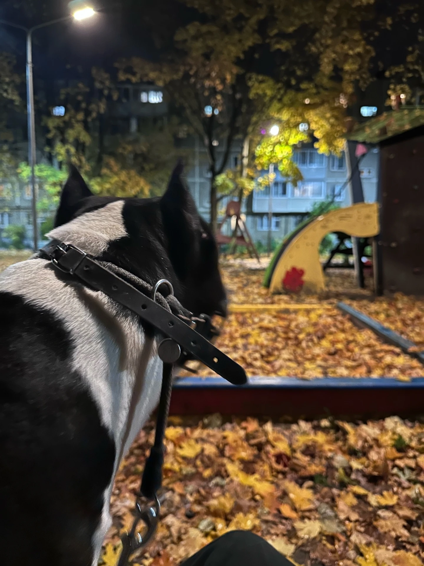 Осенний дворик))