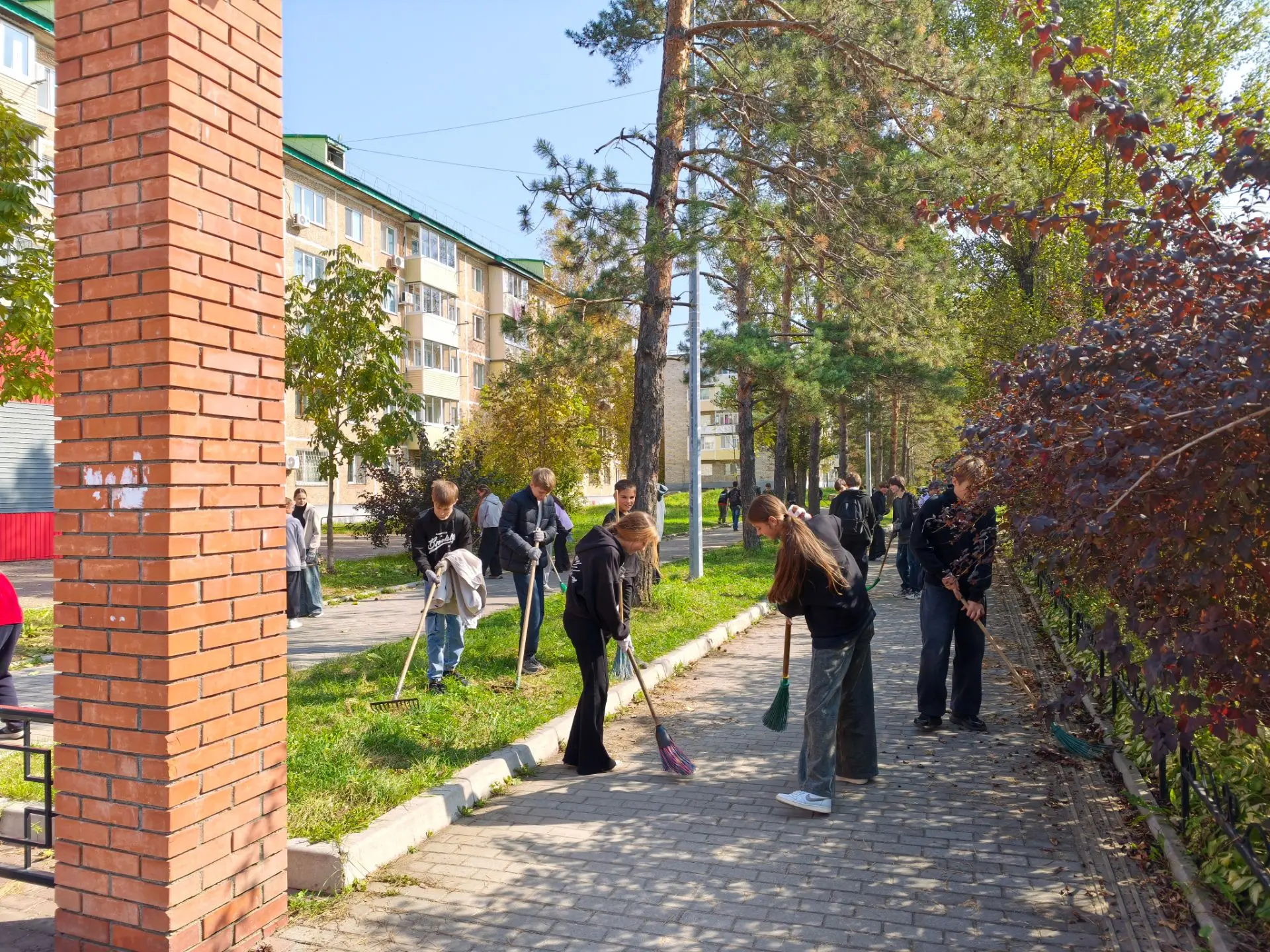 🌿 Чистый город начинается с нас! 🌿