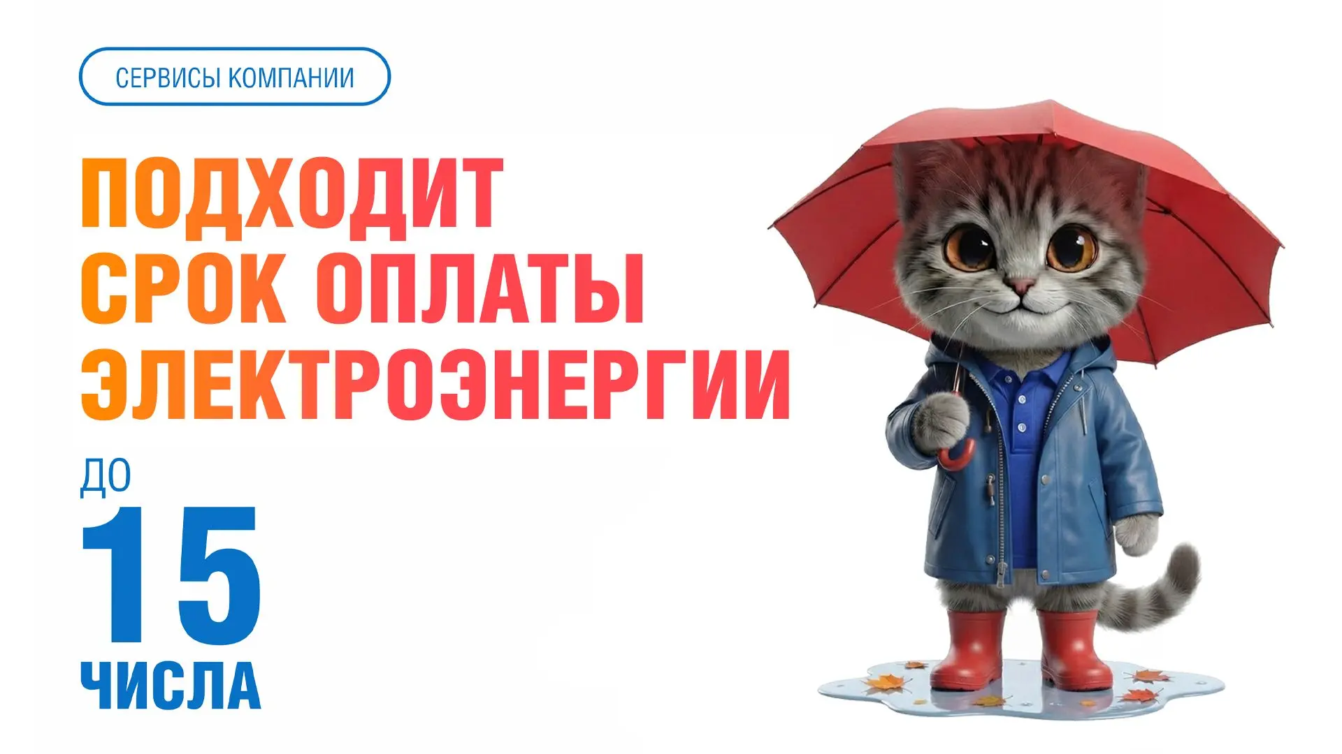 🍂 Ваттроскин, наш главный любитель наблюдать за листопадом с теплого подоконника, напо...