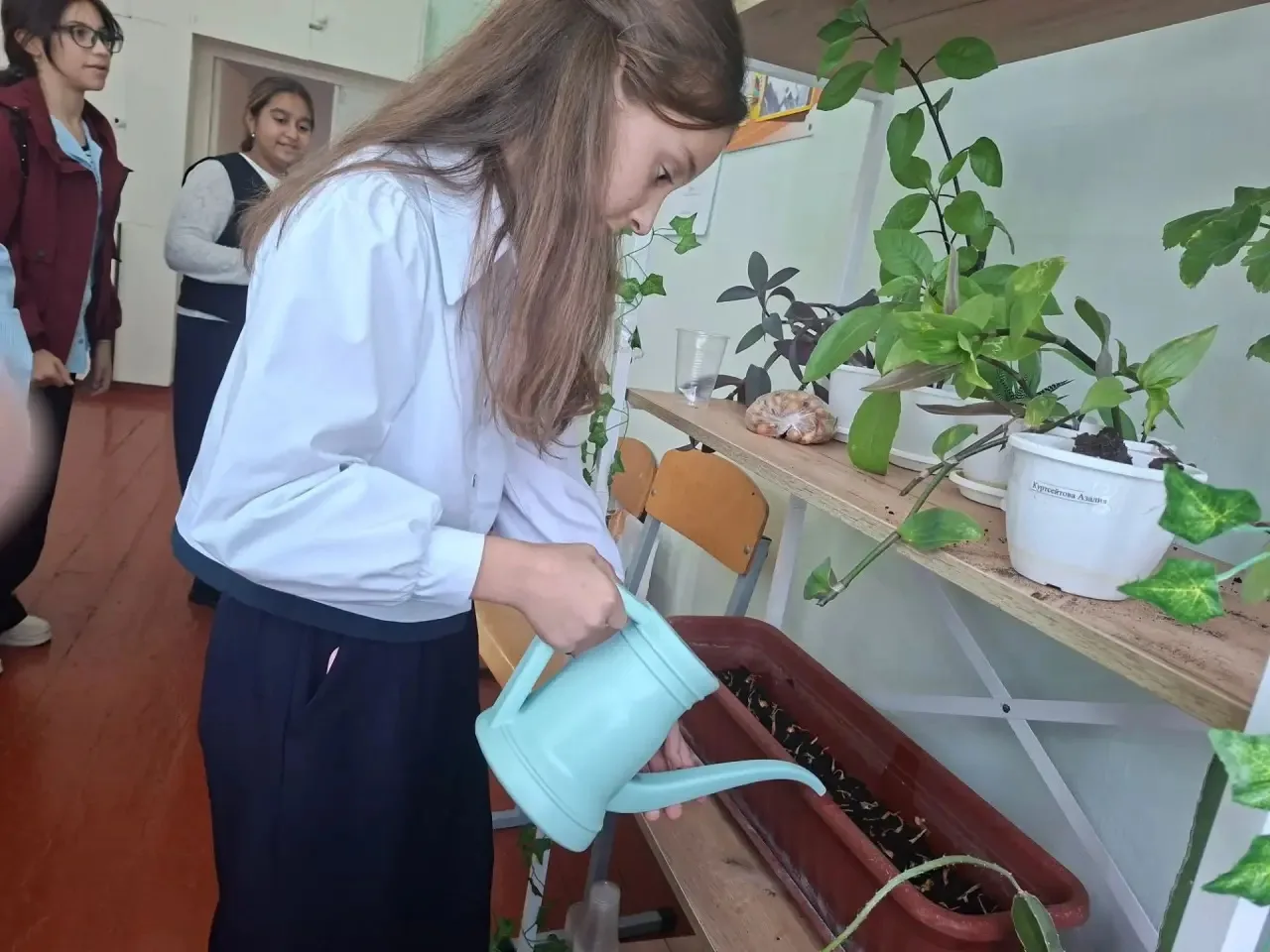 🍃«Зелёное начало»: 6‑А класс посадил лук на перо! 🧅