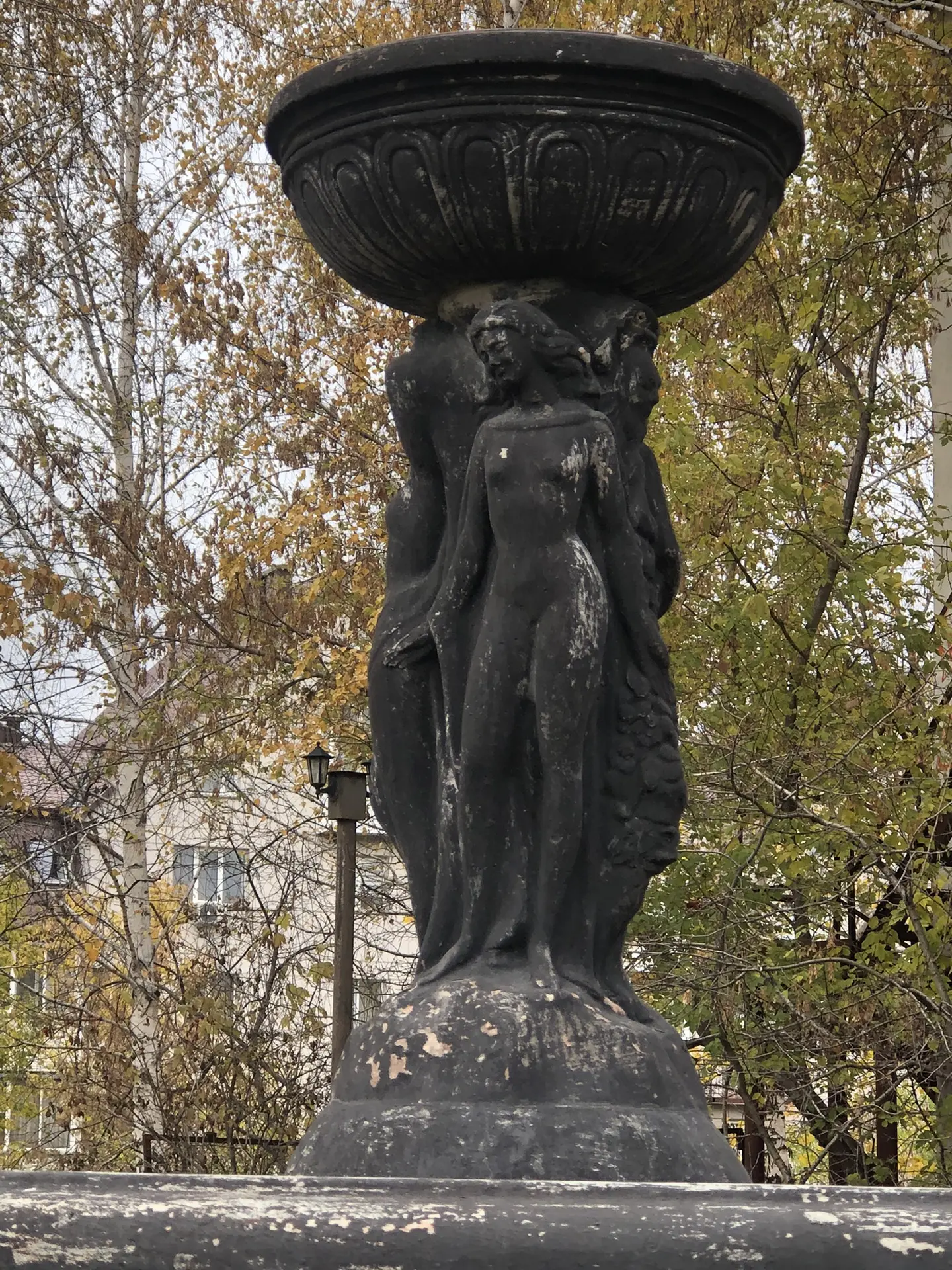 Доброе утро 🌞
