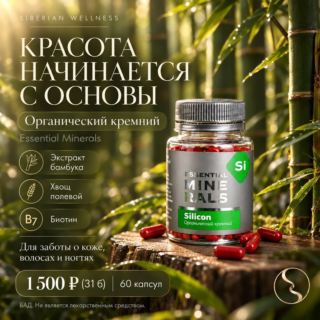 Секретный фундамент вашей красоты и прочности, о котором все молчат 🤫