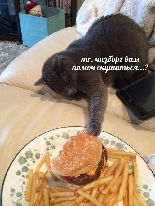 Мемы каждый день • Подписаться