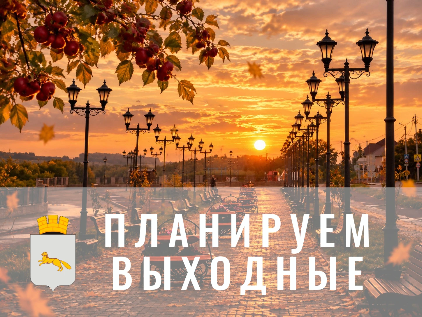 🎶🏃‍♀️🏆 🏊 ✂️ Музыкальное шоу и камерные концерты, спортивные активности, мастер-клас...