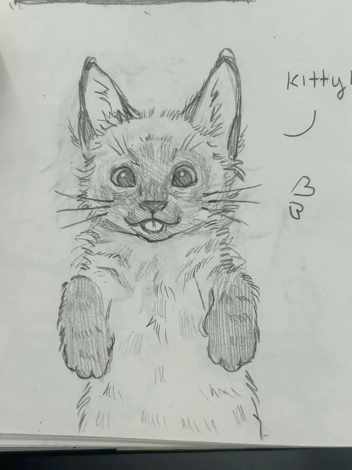 Рисунок котика