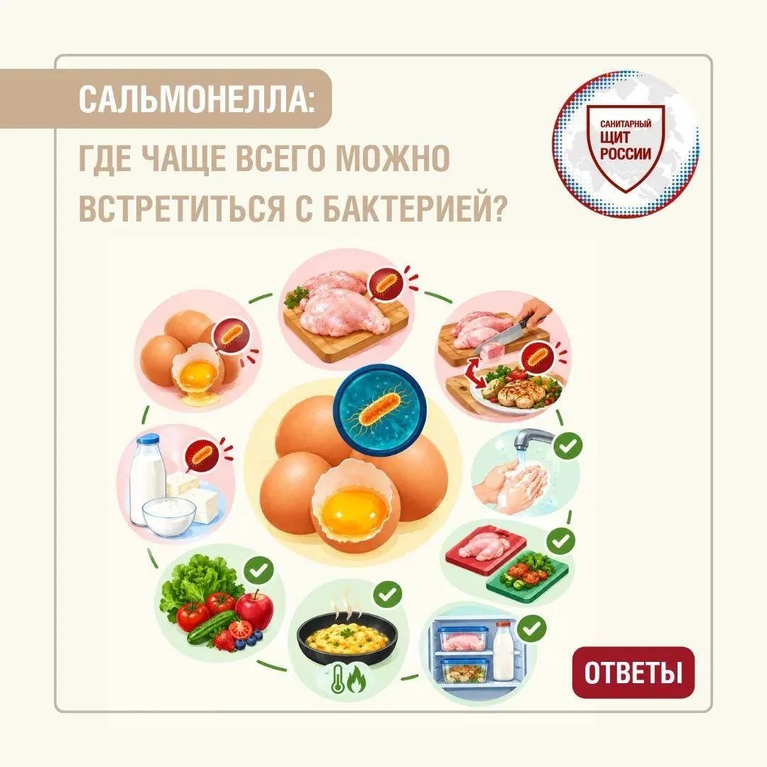 ✅ Ответы: