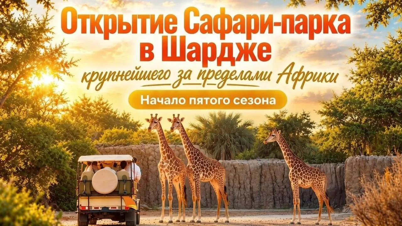 🦒 Настоящая Африка в сердце Арабских Эмиратов.