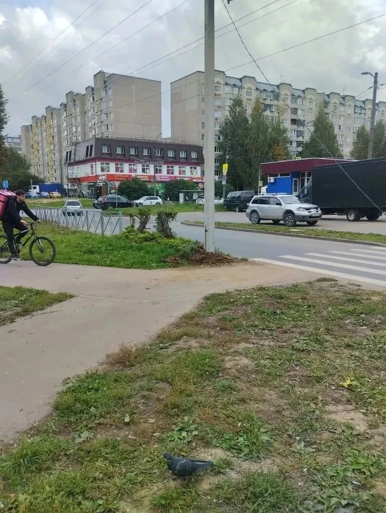❇Во Владимире прокуратура пресекла нарушения законодательства о безопасности дорожного ...