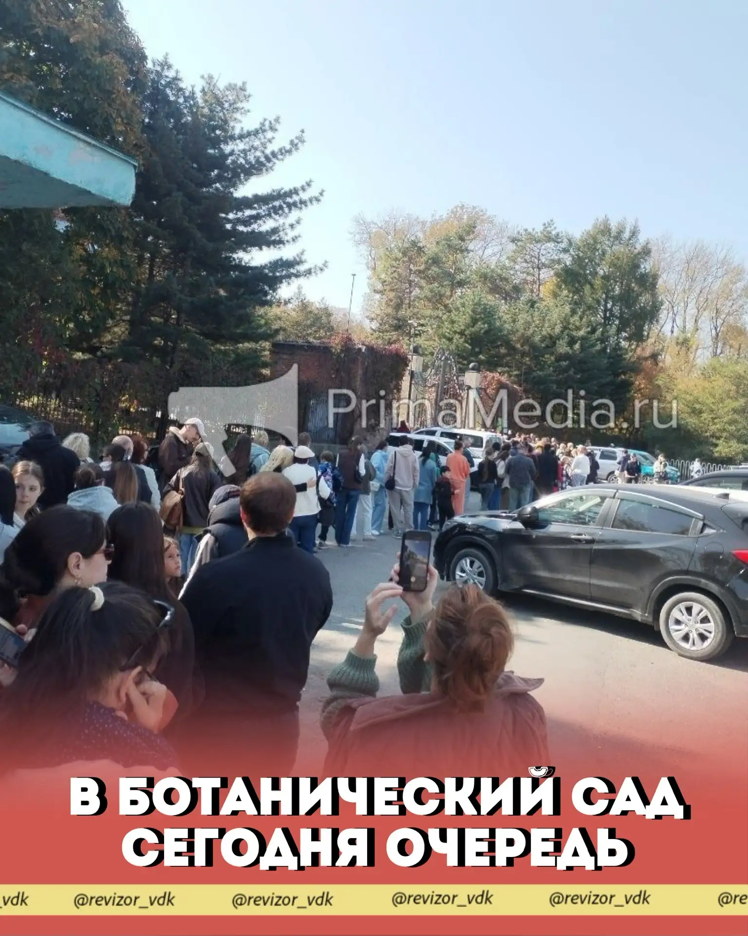 Во Владивостоке очередь у входа в Ботанический сад — осень в разгаре, и все хотят пойма...