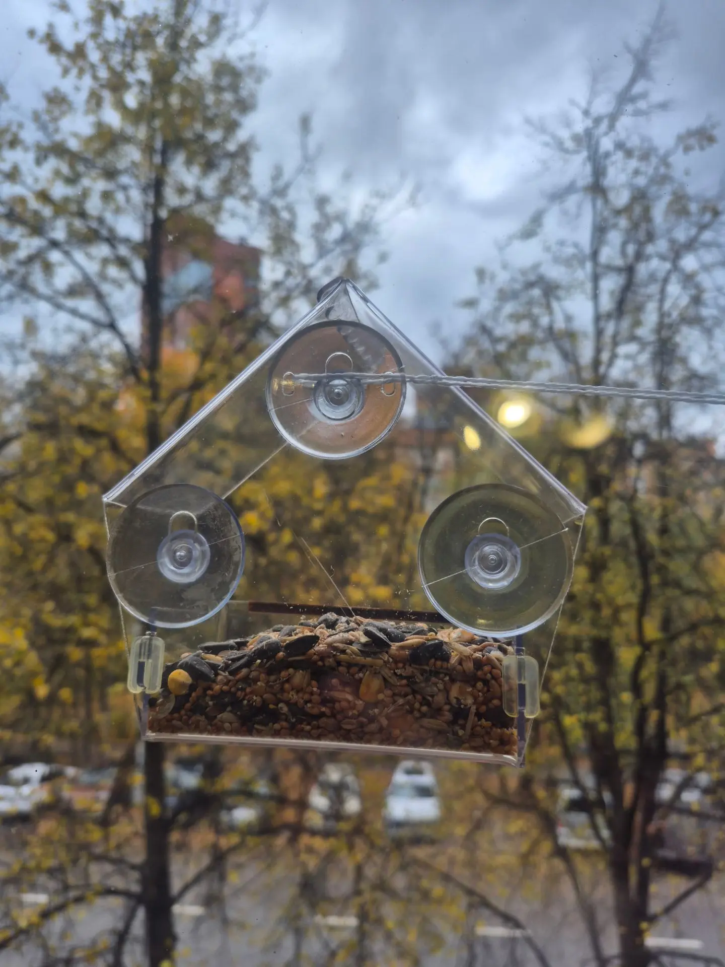 А вот и наша новая кормушка))))))