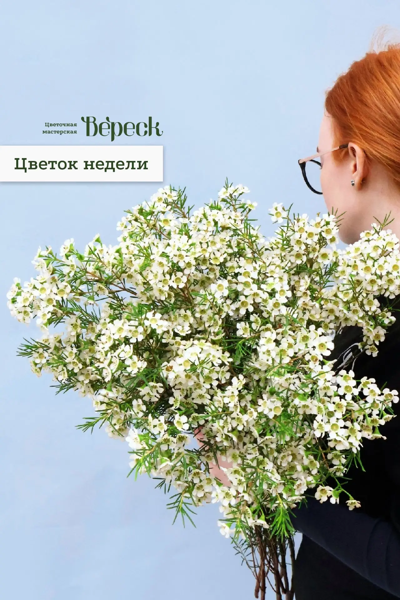 ЦВЕТОК НЕДЕЛИ🌸