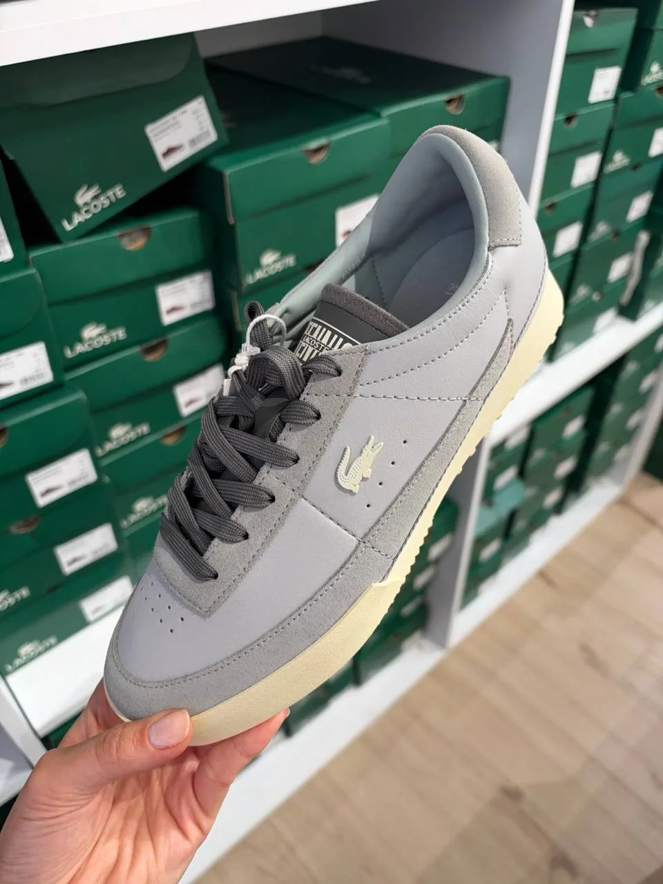 LACOSTE🏷️