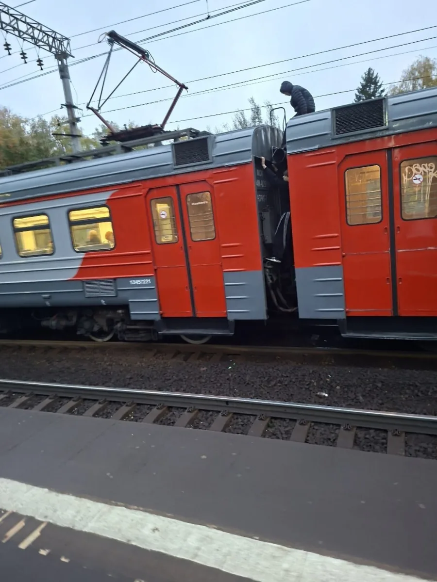 Очередные зацеплены, на этот раз из Пушкино 🤡