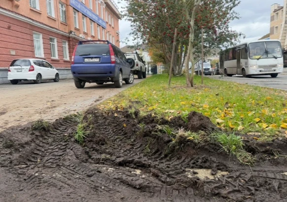За парковку на газонах водителей в камчатской столице привлекут к ответственности