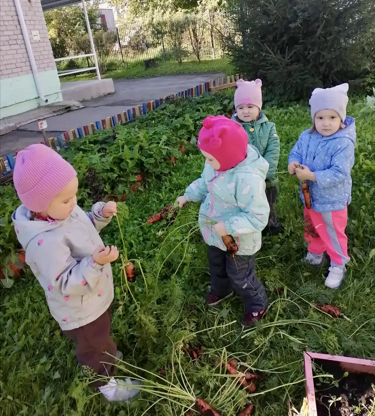Вкусный урожай🥕