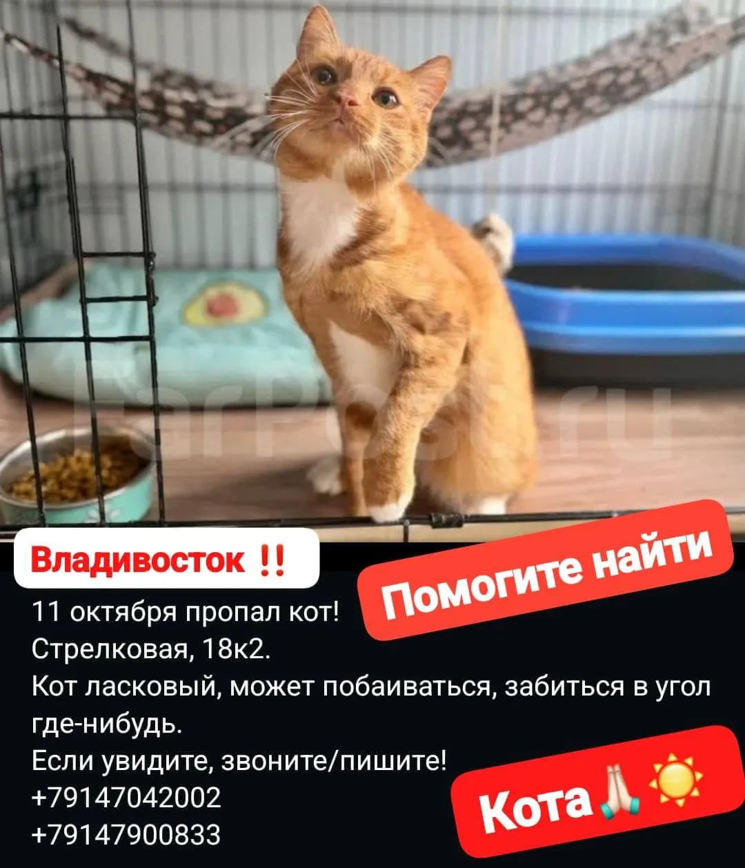 г. Владивосток