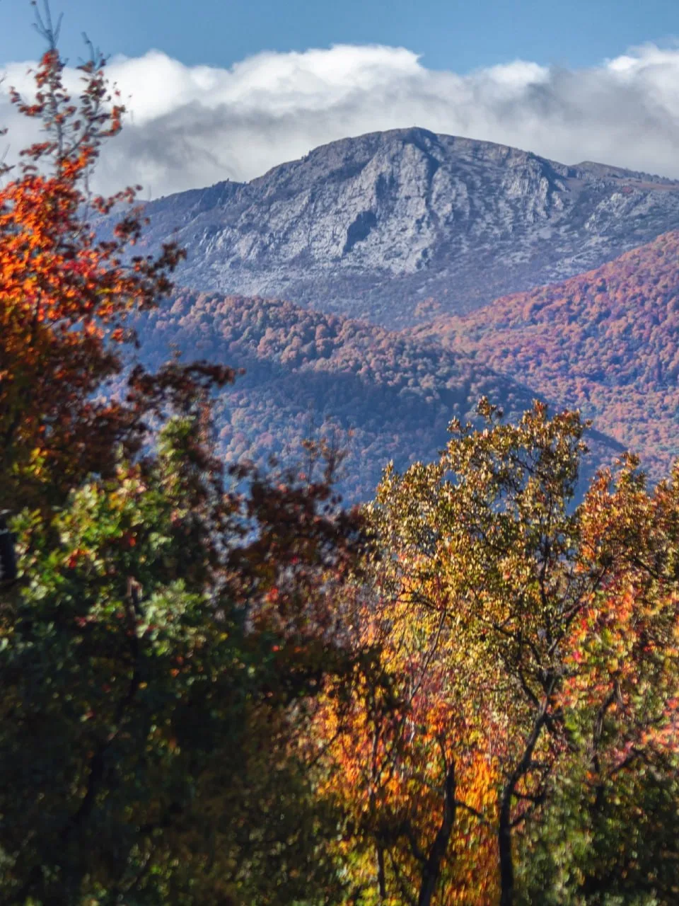 🍂Осень в Крыму