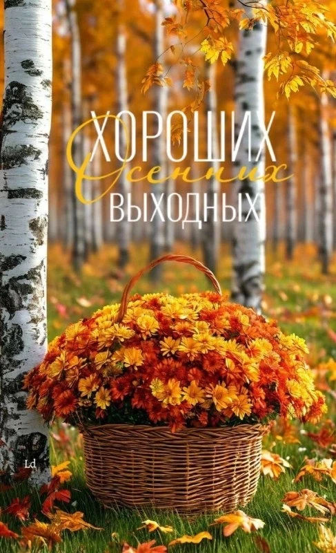 Открытки: подписаться ❤️