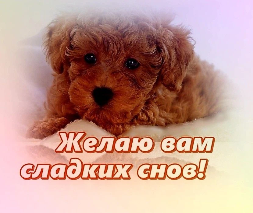 КРАСИВЫЕ ОТКРЫТКИ ТУТ💖