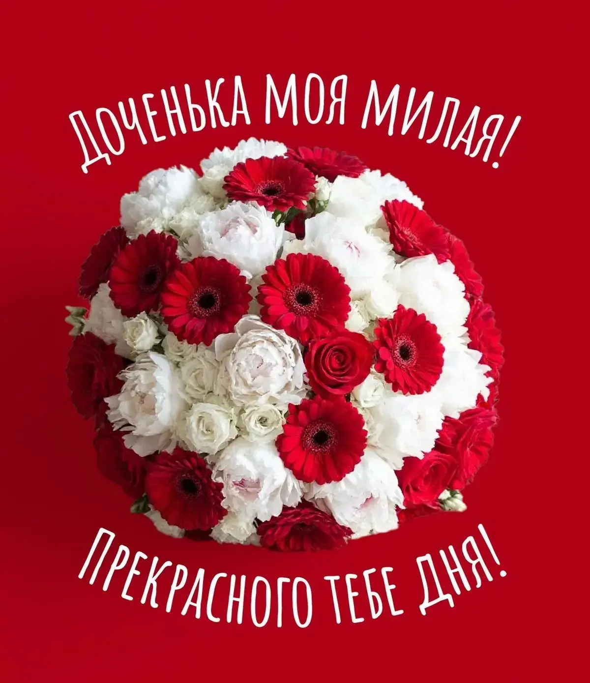 🌺ОТКРЫТКИ И ПОЗДРАВЛЕНИЯ 🌺