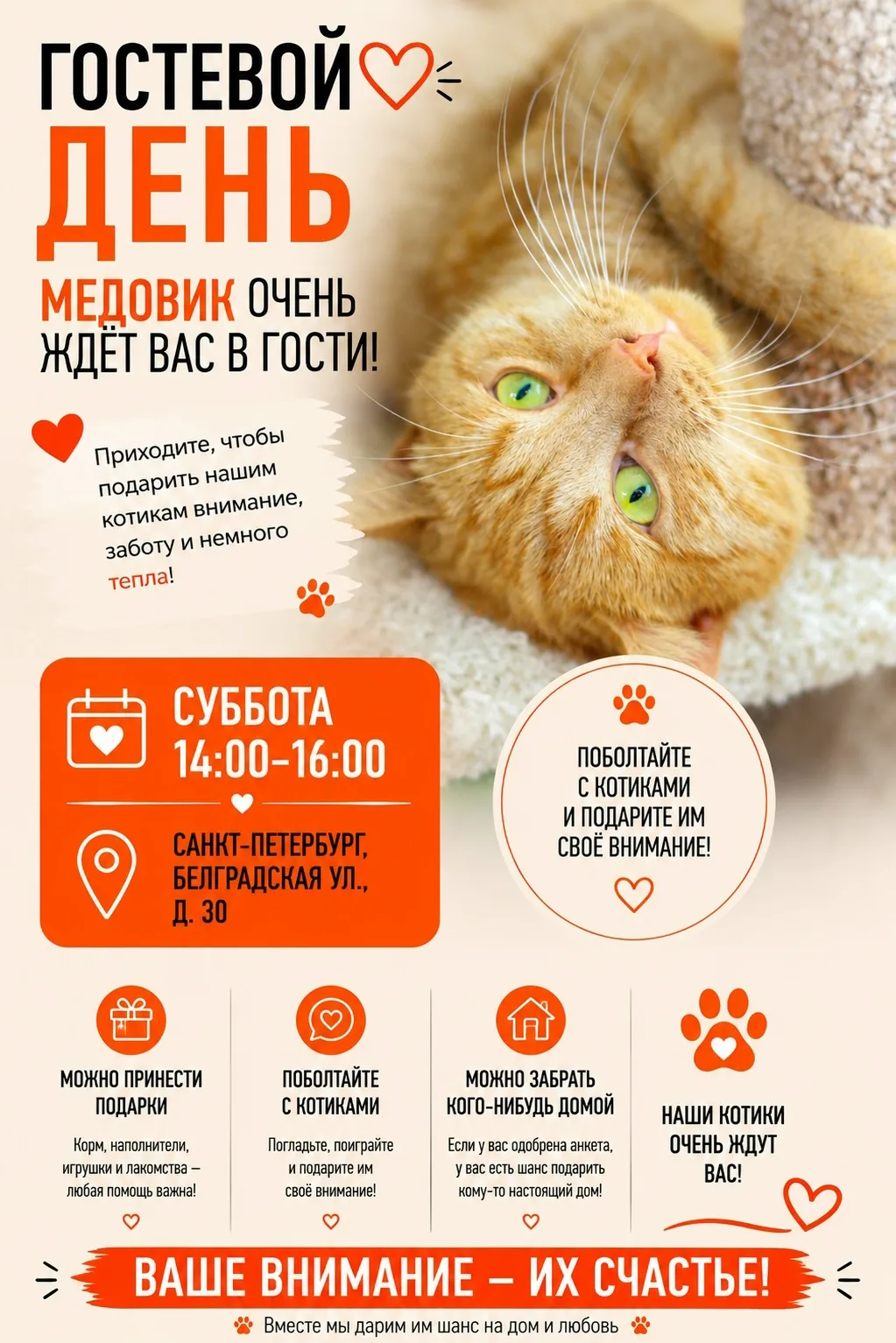 ✨Гостевой день✨