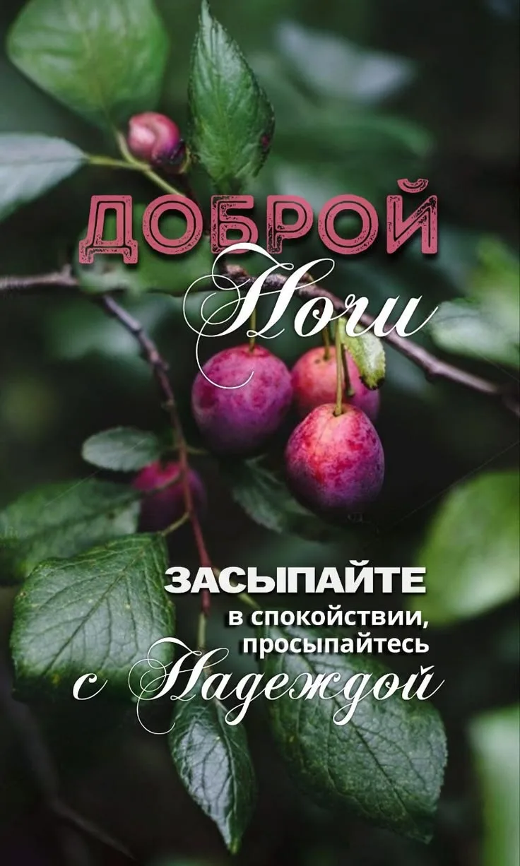 Поздравления для Настроения💌