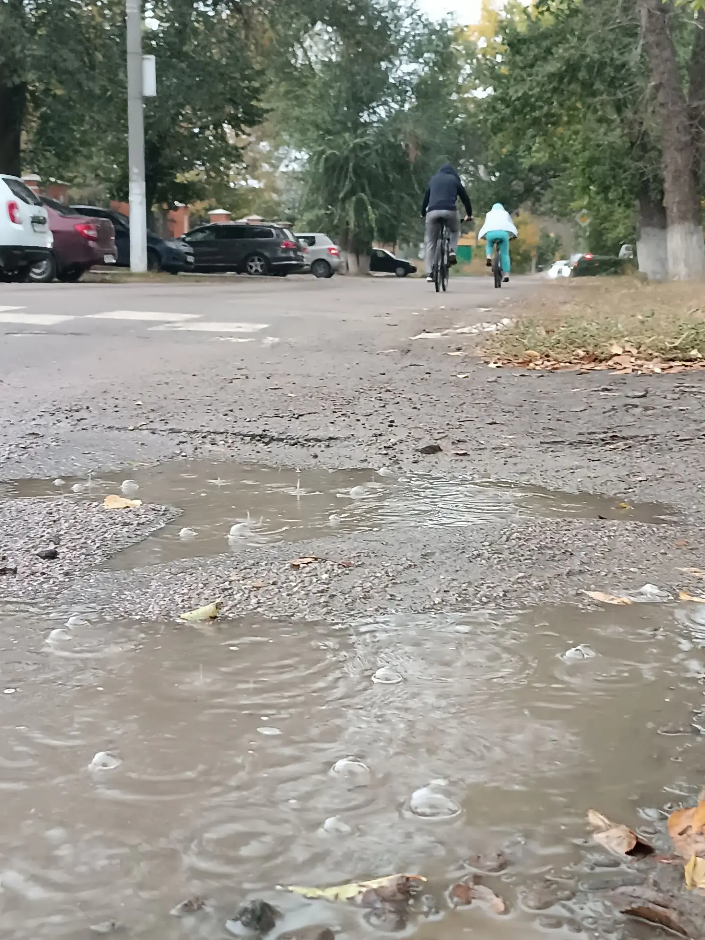 Погода ☔