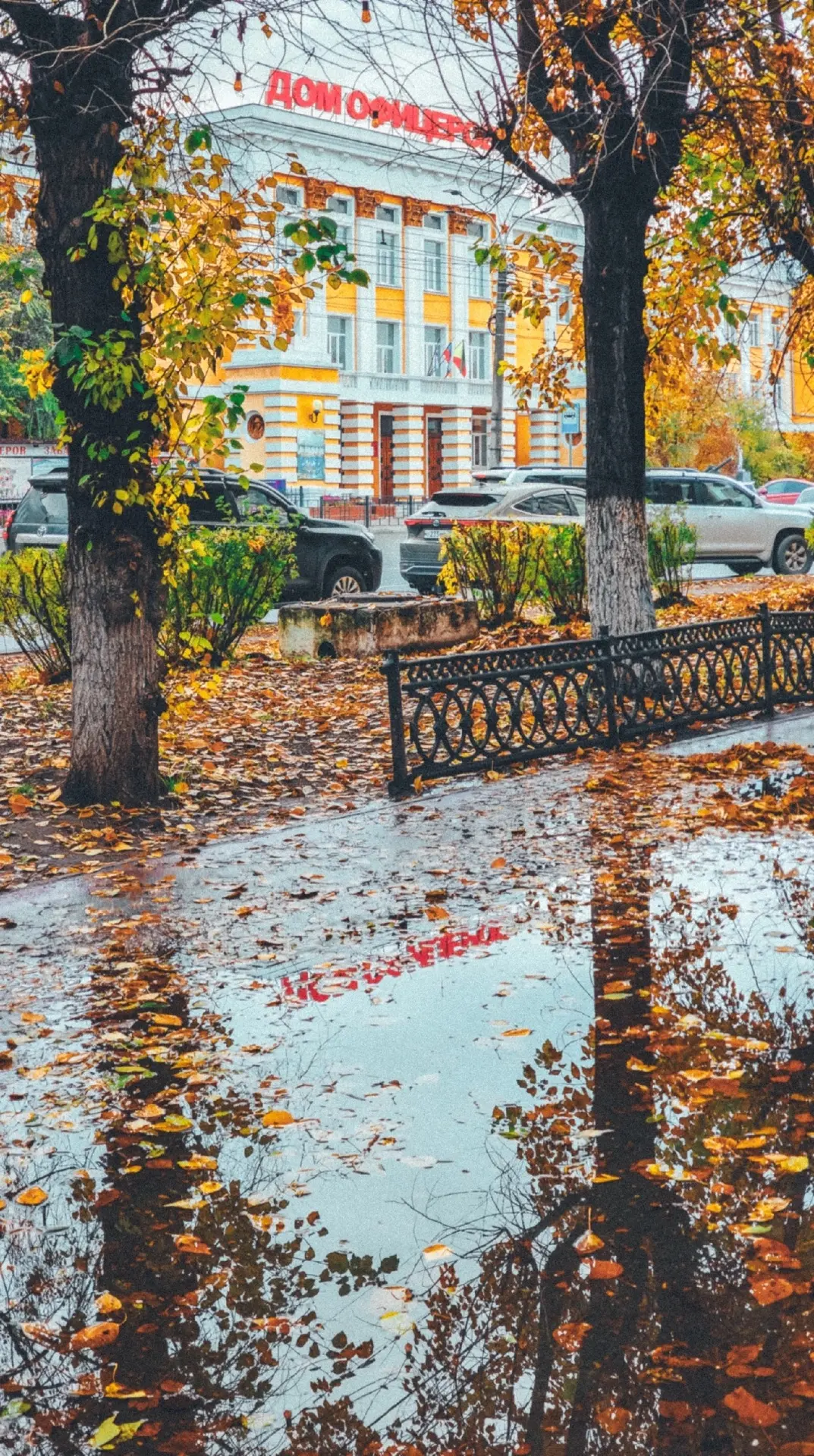 Прекрасная осень в городе 🍁