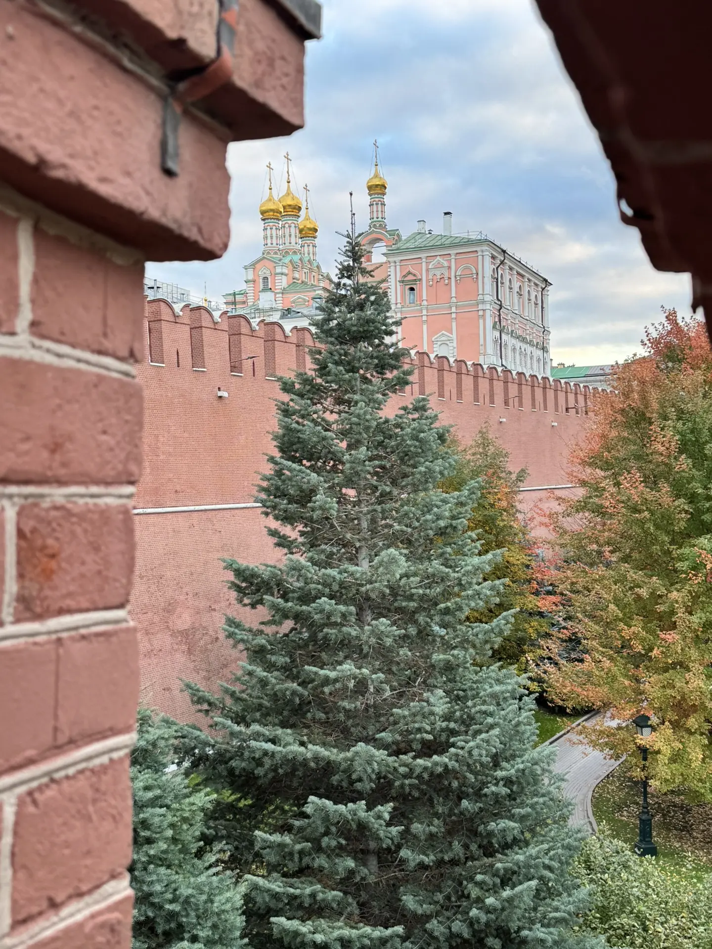 Доброго времени суток, дорогие 🌸