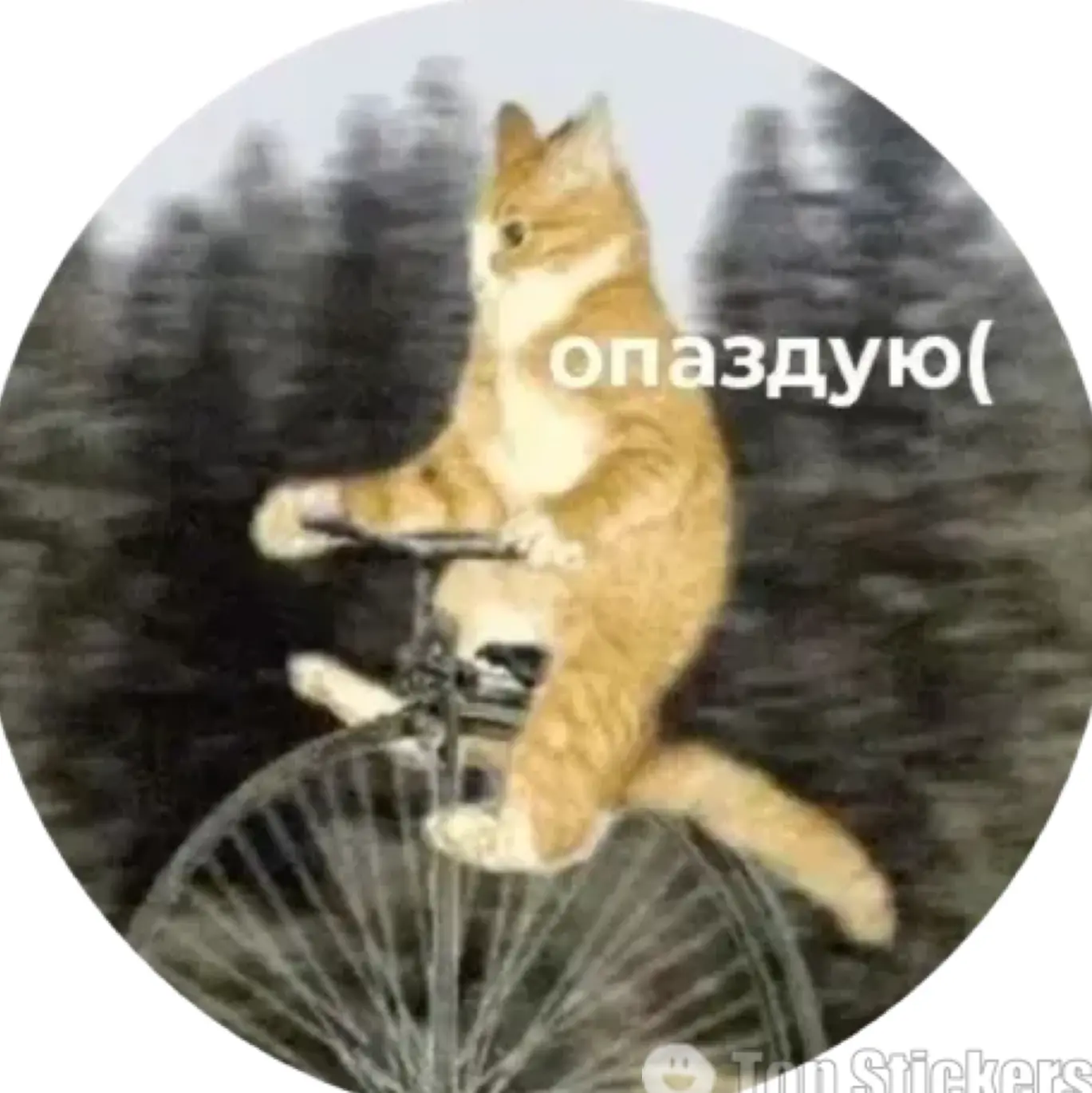 Как всегда🙃