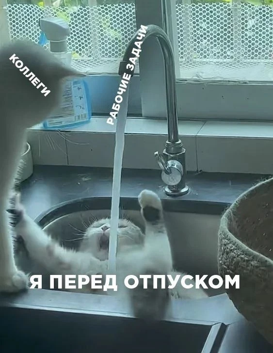 Муд сегодняшнего дня 🤪