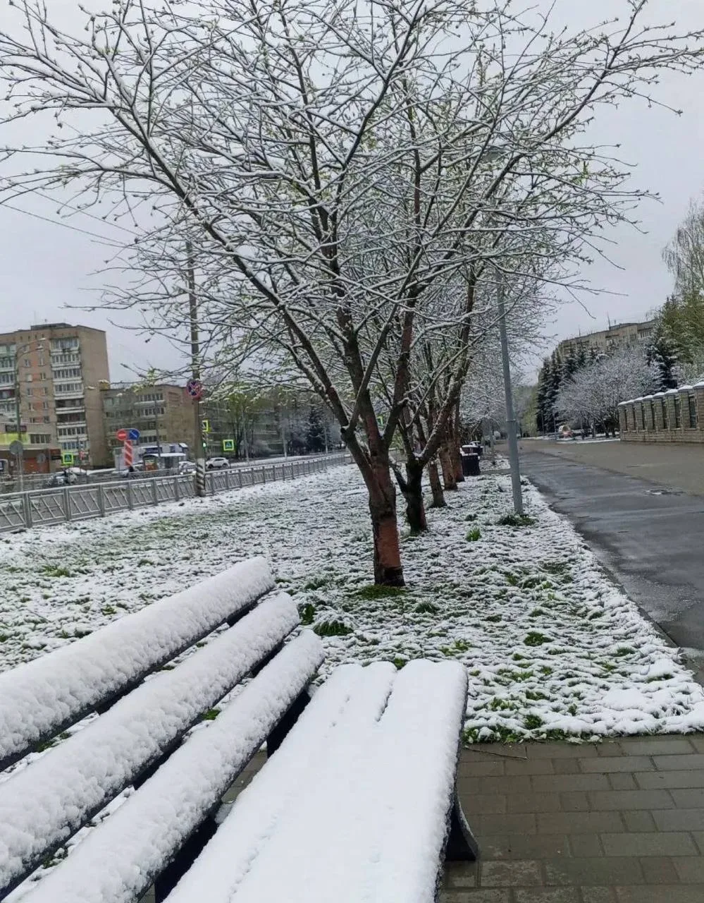 ☀️ Зима в Обнинске может быть теплой и почти бесснежной — климатологи