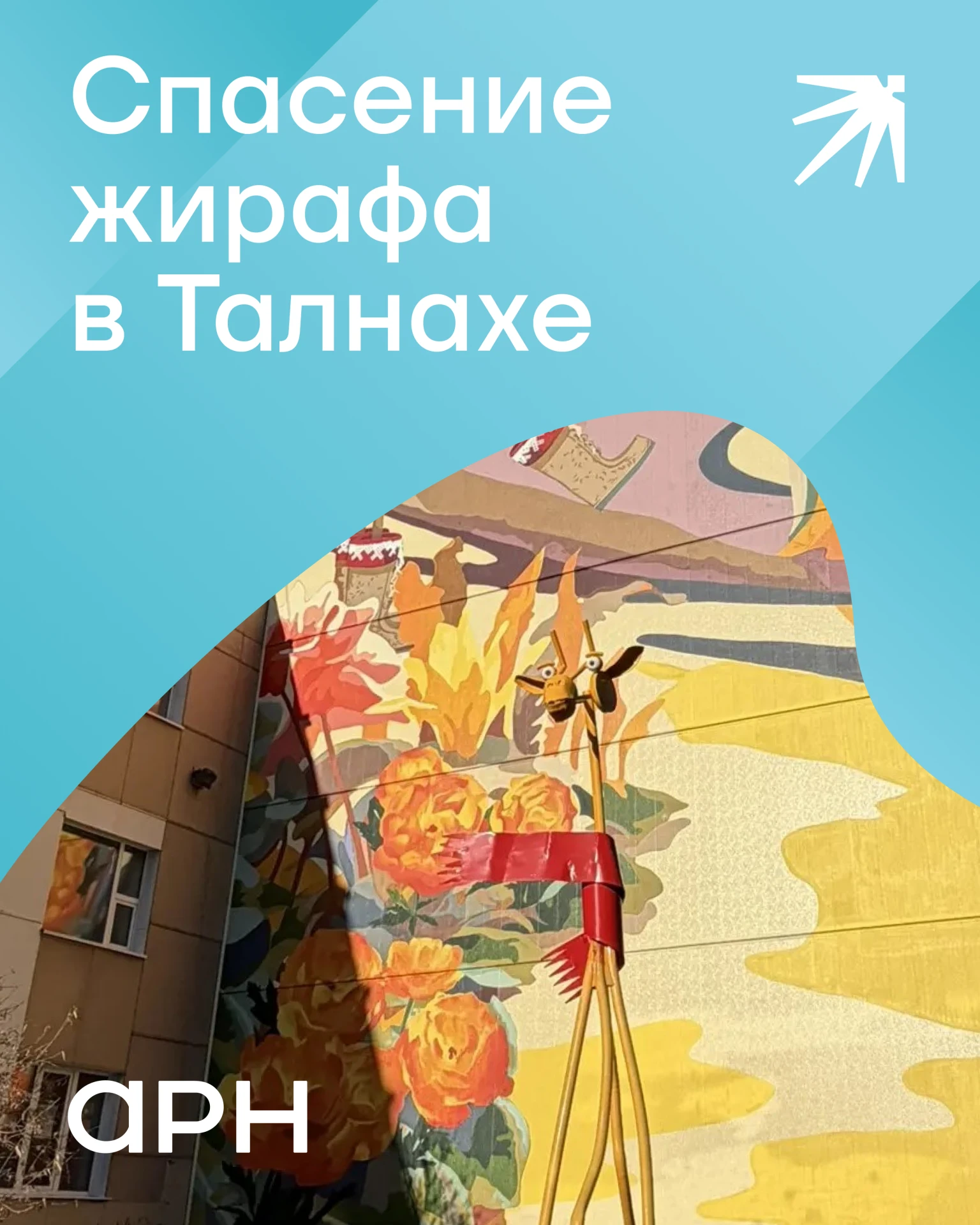«Полярный жираф» сохранил прописку 🦒