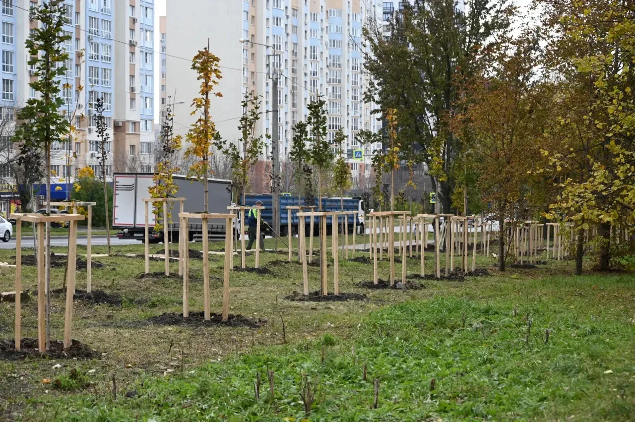 🍁 В Пензе завершили осенний месячник по благоустройству большим общегородским субботни...