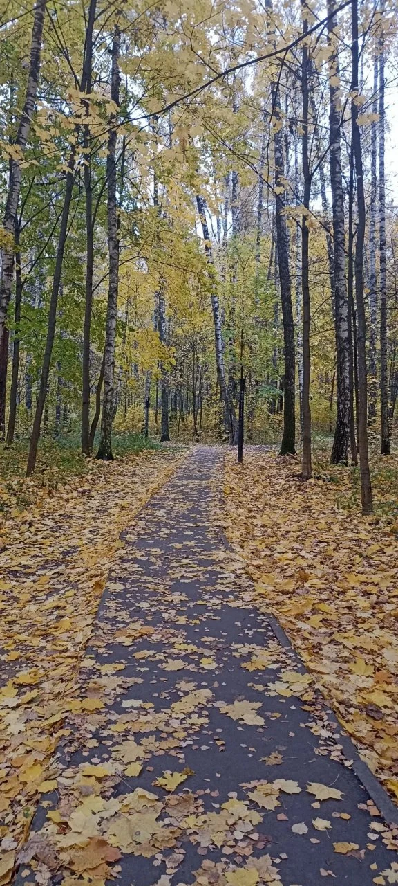 От сообщества: приятного вечера, друзья, и спасибо нашему подписчику за фото☀️☀️