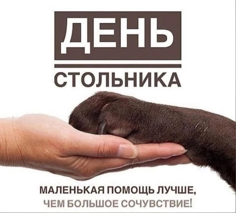День Стольника в приюте «Лучик»💛