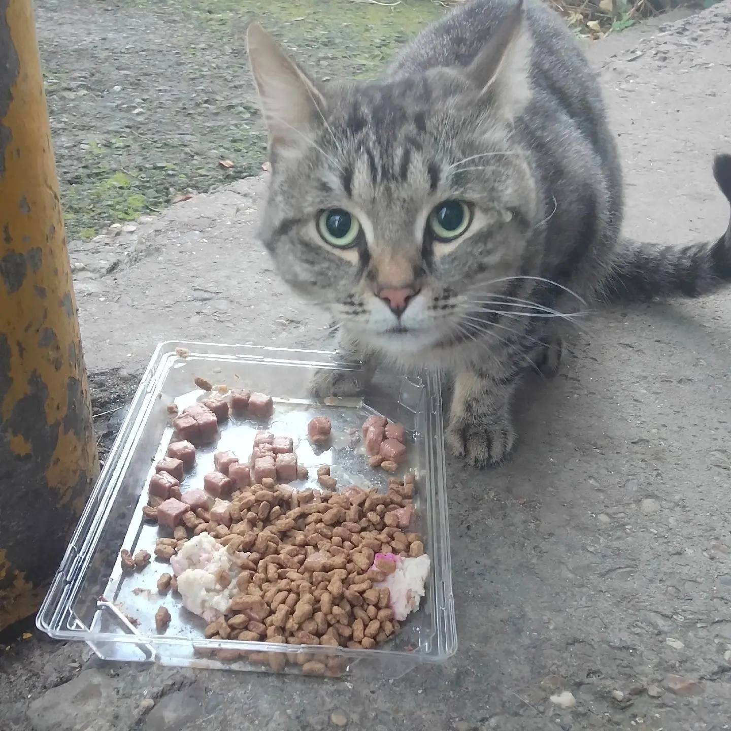 «Доброго времени суток друзья!