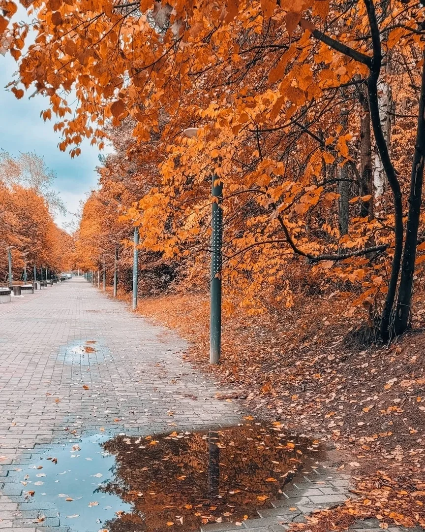 🍂 Балатовский парк в золотом осеннем наряде — один из тех уголков Перми, где хочется н...