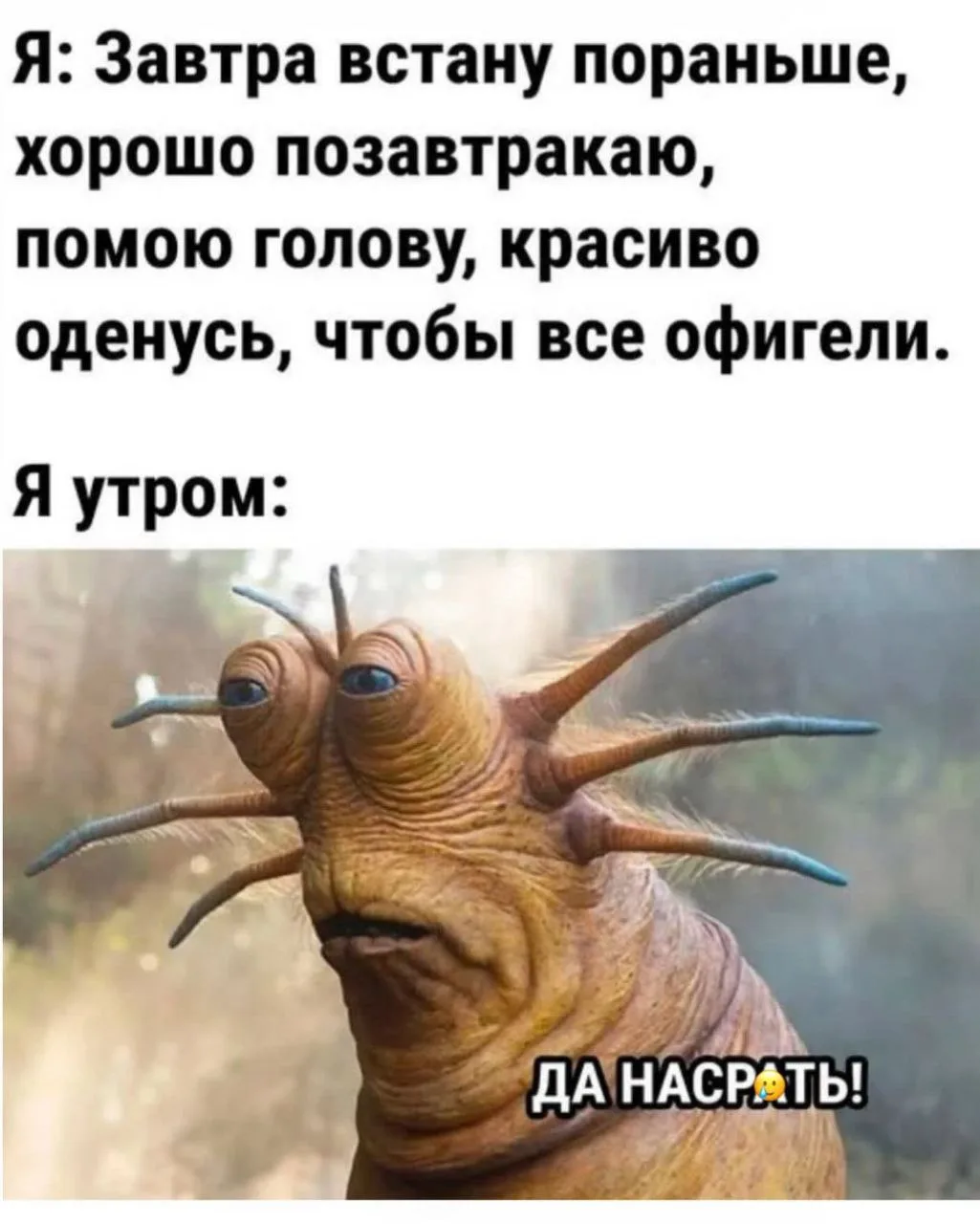Спасибо за реакции — очень ценю!