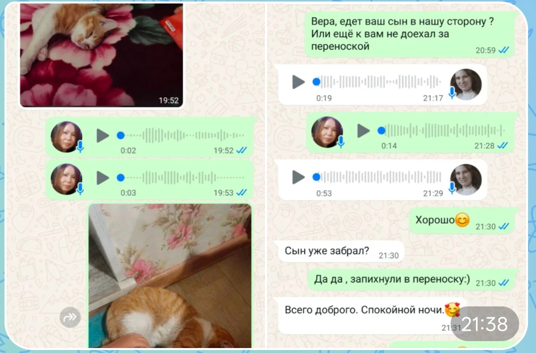 Сообщение от Марии: