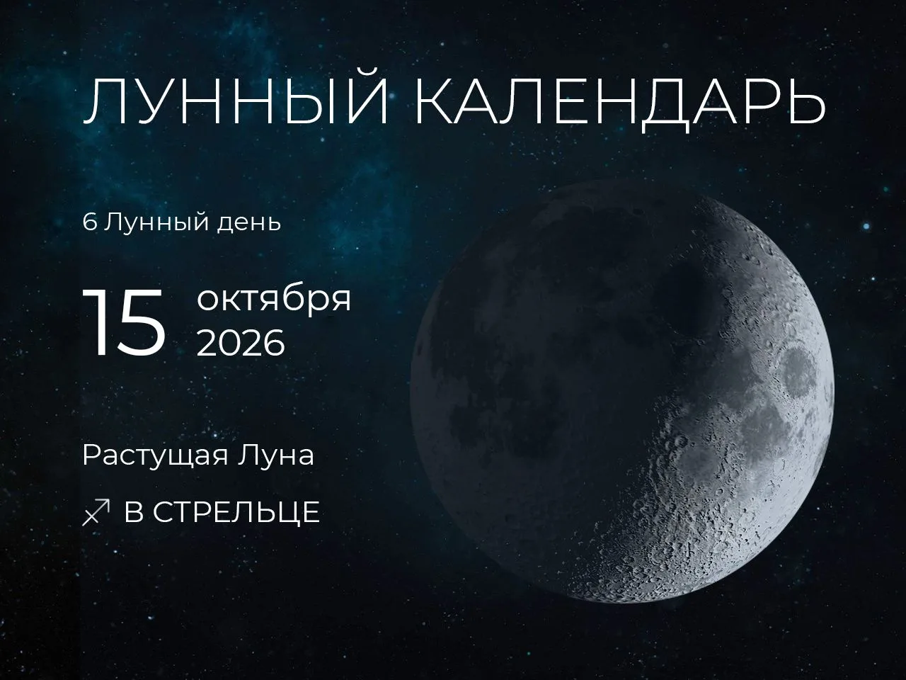 📆 Рекомендации дня: