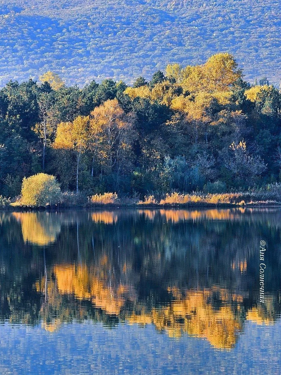 Осень — время, когда хочется запечатлеть каждый миг, каждый день..🍁