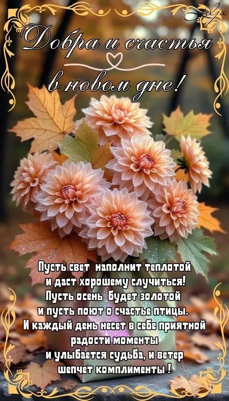 ✨❤️❤️❤️🍬✨
