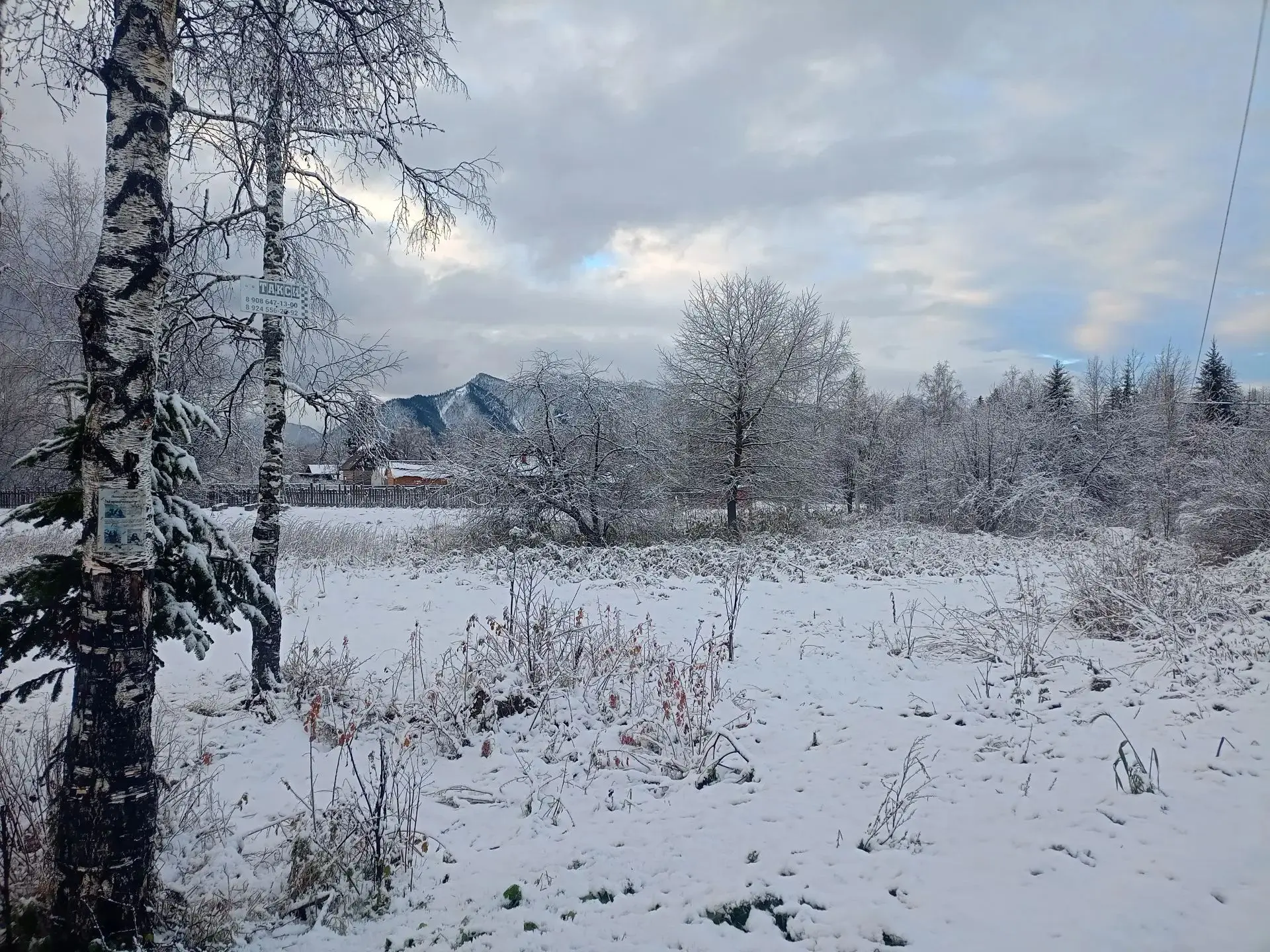 Первый снег в Выдрино. Приближается зима ❄️☃️