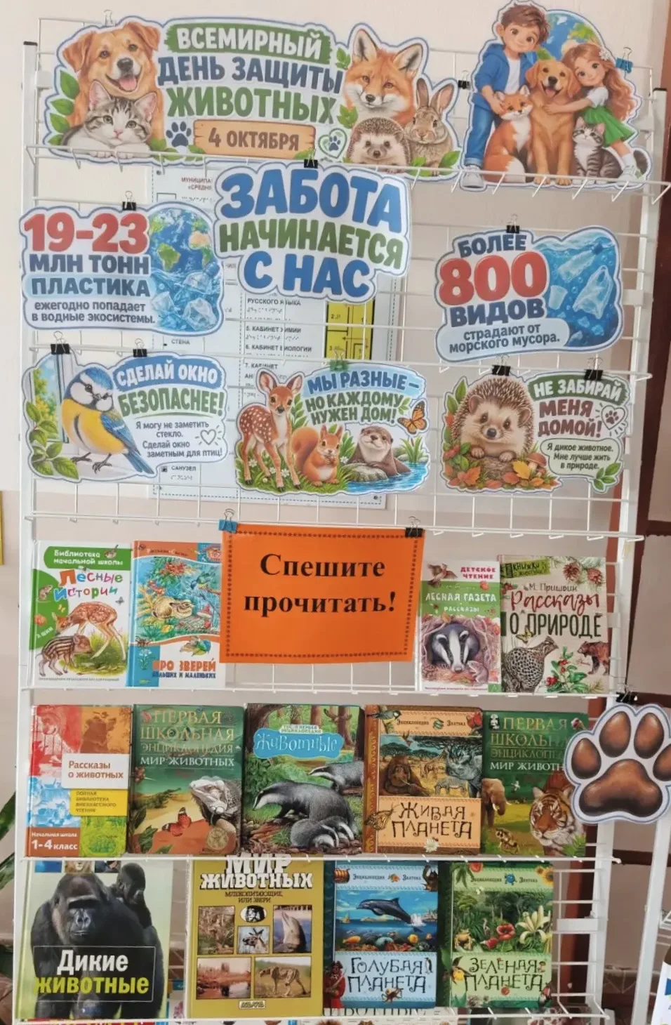 «Наши большие и маленькие друзья: как мы отмечали День животных» 🐾