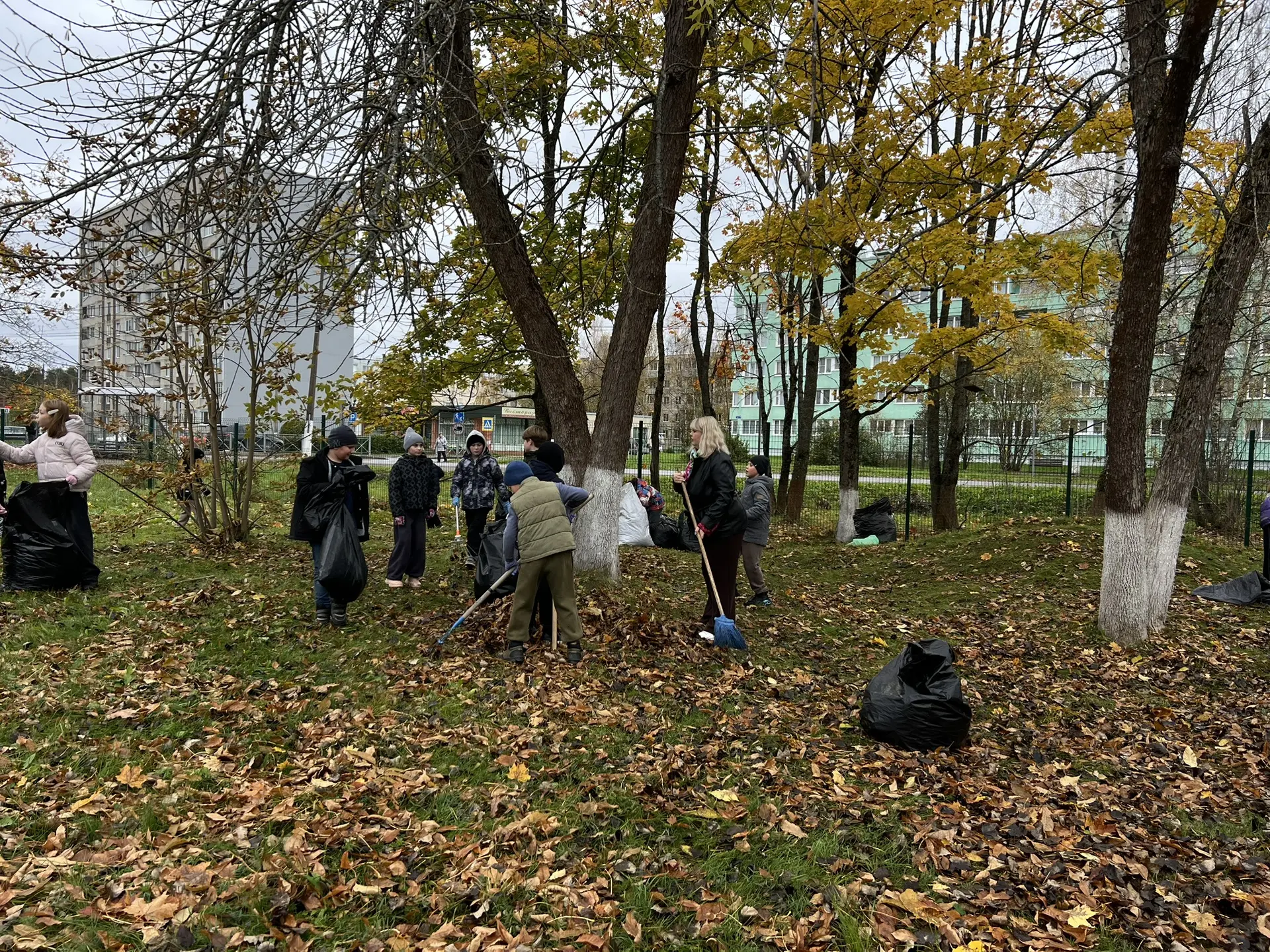 🍂 Чистота начинается с нас!